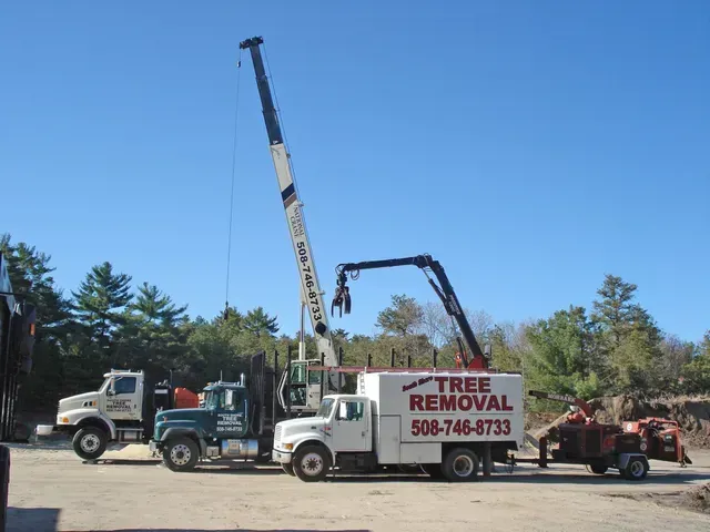Tree removal trucks and equipment at a work site on a sunny day.