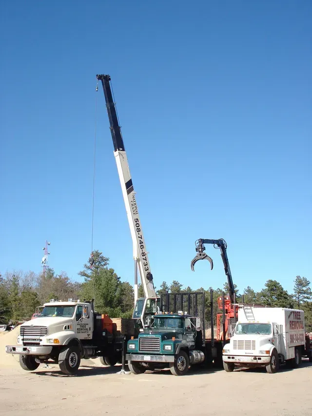 Three trucks of different sizes parked on a sunny day. A crane lifts something.