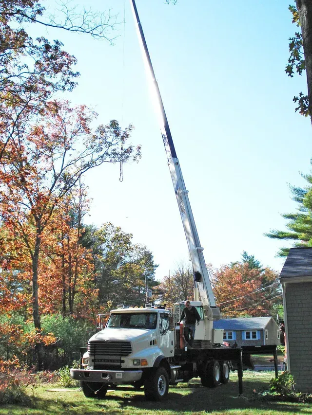 Truck with extended boom trimming a tree against a blue sky.