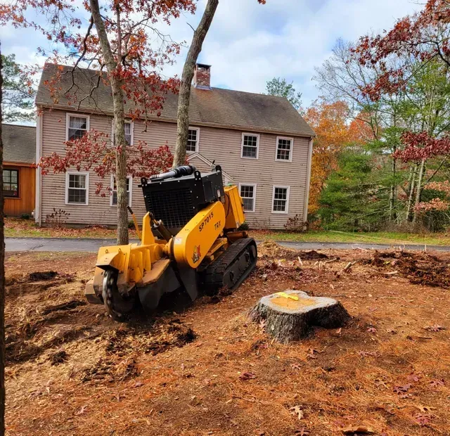 Yellow stump grinder next to a tree stump in a yard, house in background.