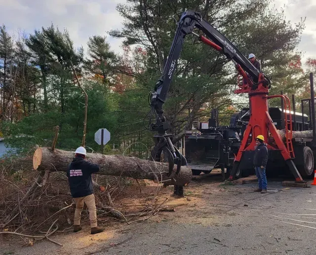 Workers using a crane to lift a large tree trunk onto a truck bed. Outdoors, cloudy sky.