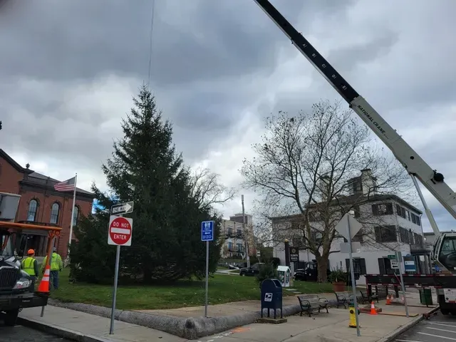 A large evergreen tree being lifted by a crane in a town square with buildings and cloudy sky.