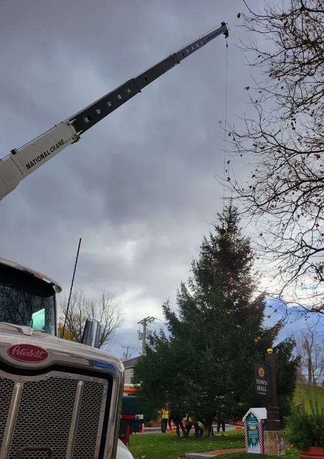 A crane is lifting a Christmas tree next to a sign, under an overcast sky.