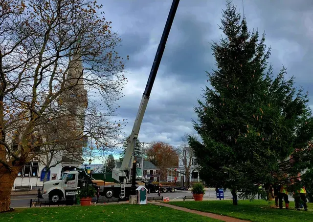 A large crane lifts a Christmas tree in front of a church on a cloudy day.