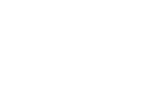 Werth Water Works - logo