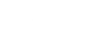 Werth Water Works - logo