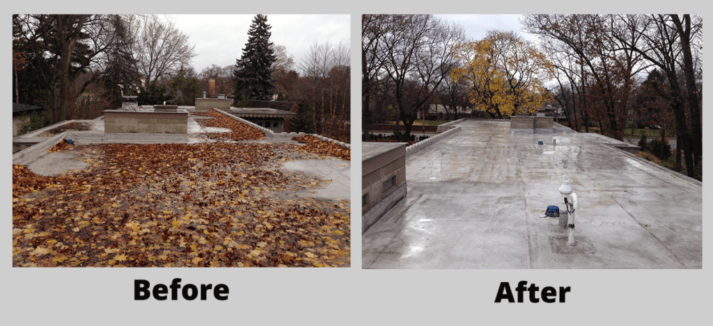 Before-and-after view of an outdoor concrete surface cleared of fallen leaves, with the “after” side wet and bare.
