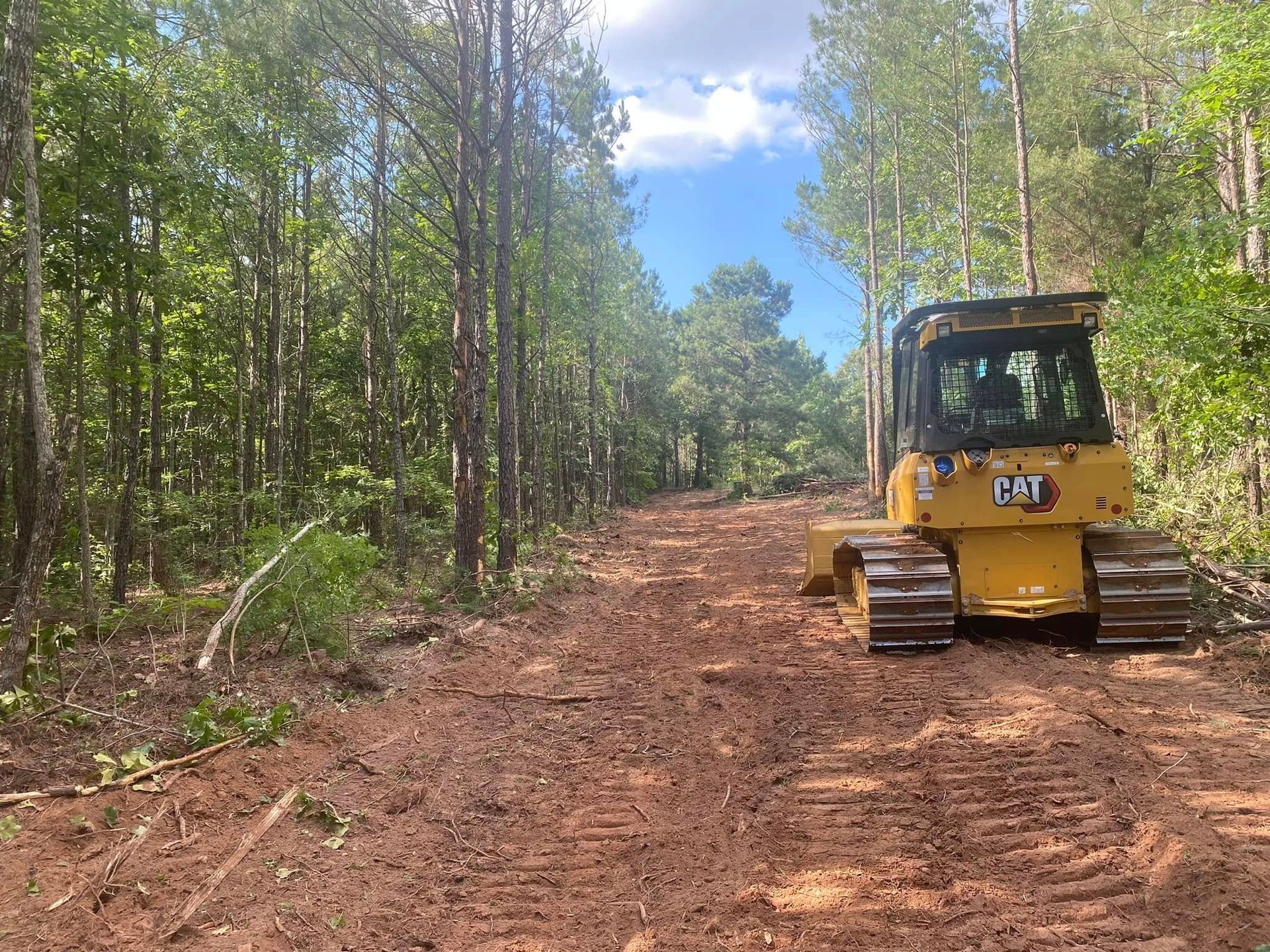 Yellow bulldozer on a dirt road in a wooded forest clearing under a blue sky
