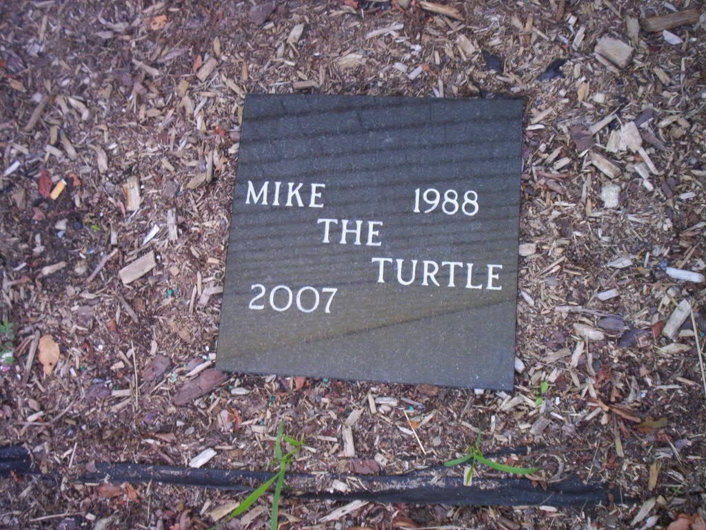 pet memorial