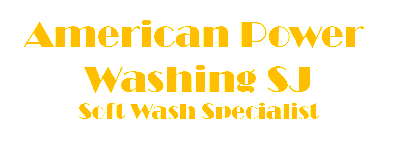 American Power Wash-Logo