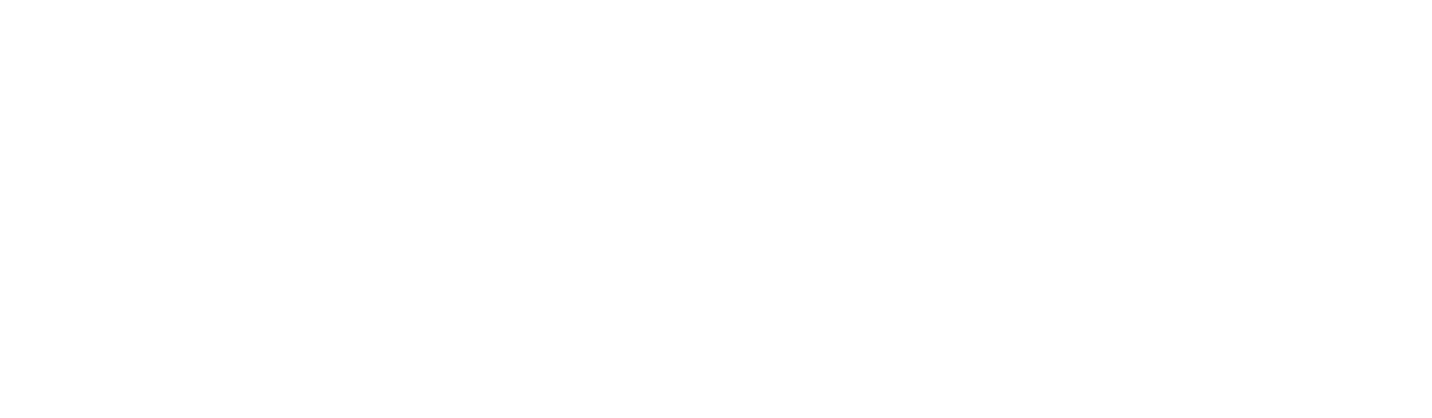 Vivid Vision Painting LLC - Logo