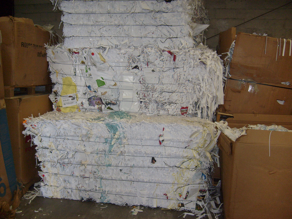 Baled Paper for Shipment