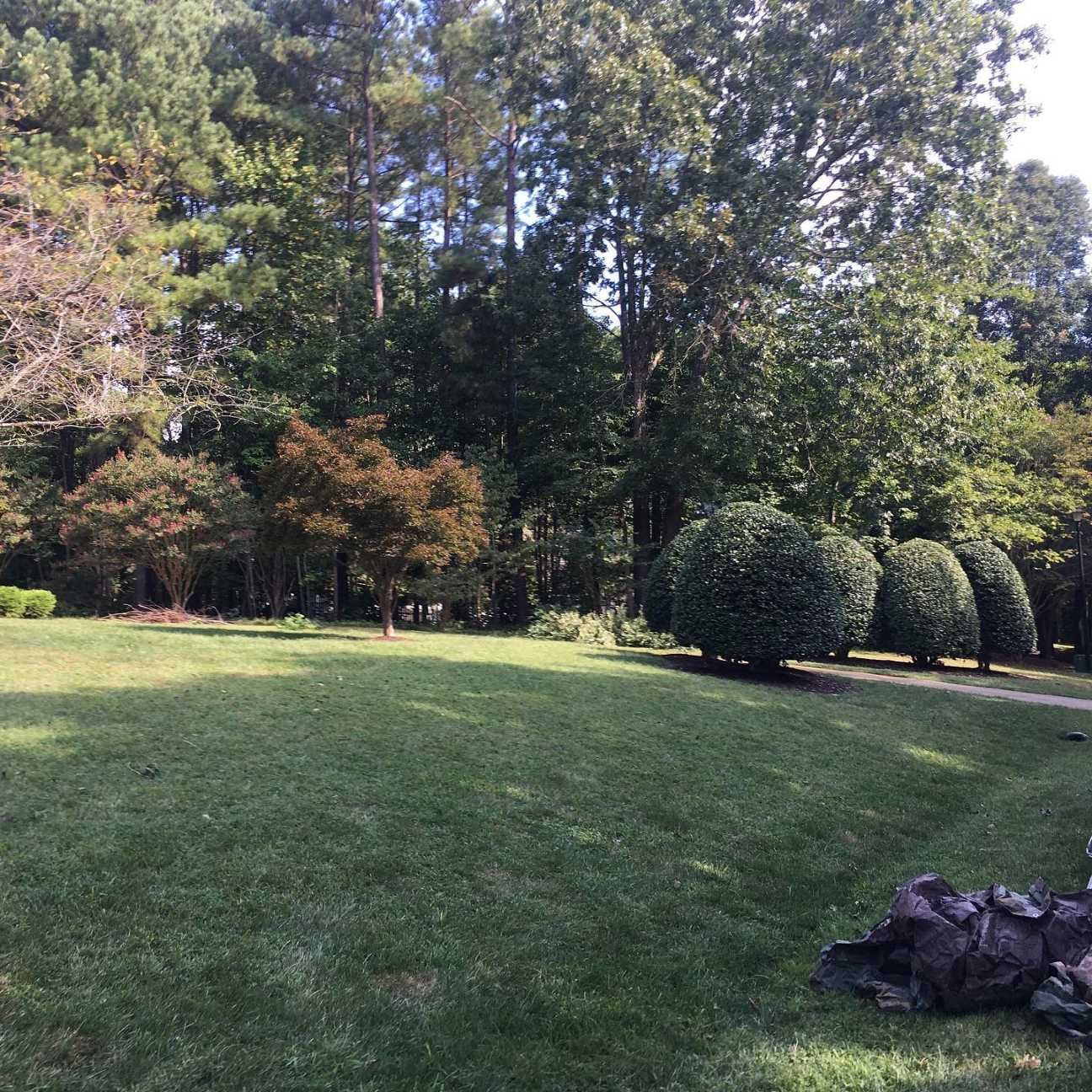 A large lush green field surrounded by trees on a sunny day.