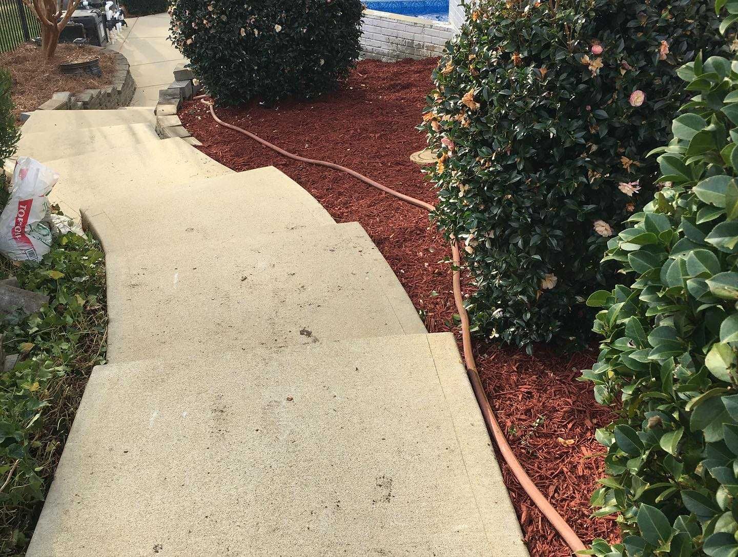 A concrete walkway leading to a pool surrounded by trees and bushes.