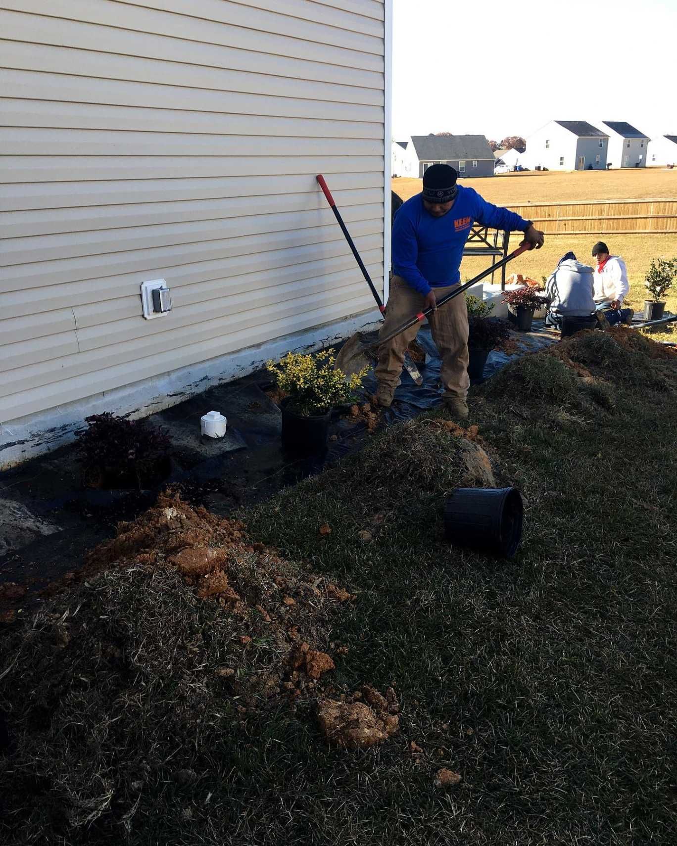 A man in a blue shirt is raking the grass in front of a house