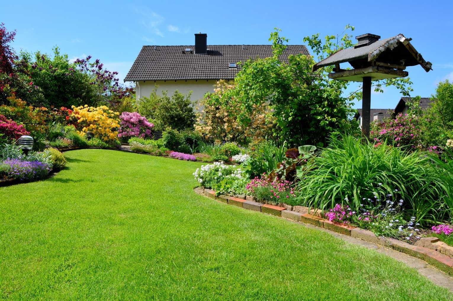 A lush green garden with flowers and a bird feeder in front of a house.