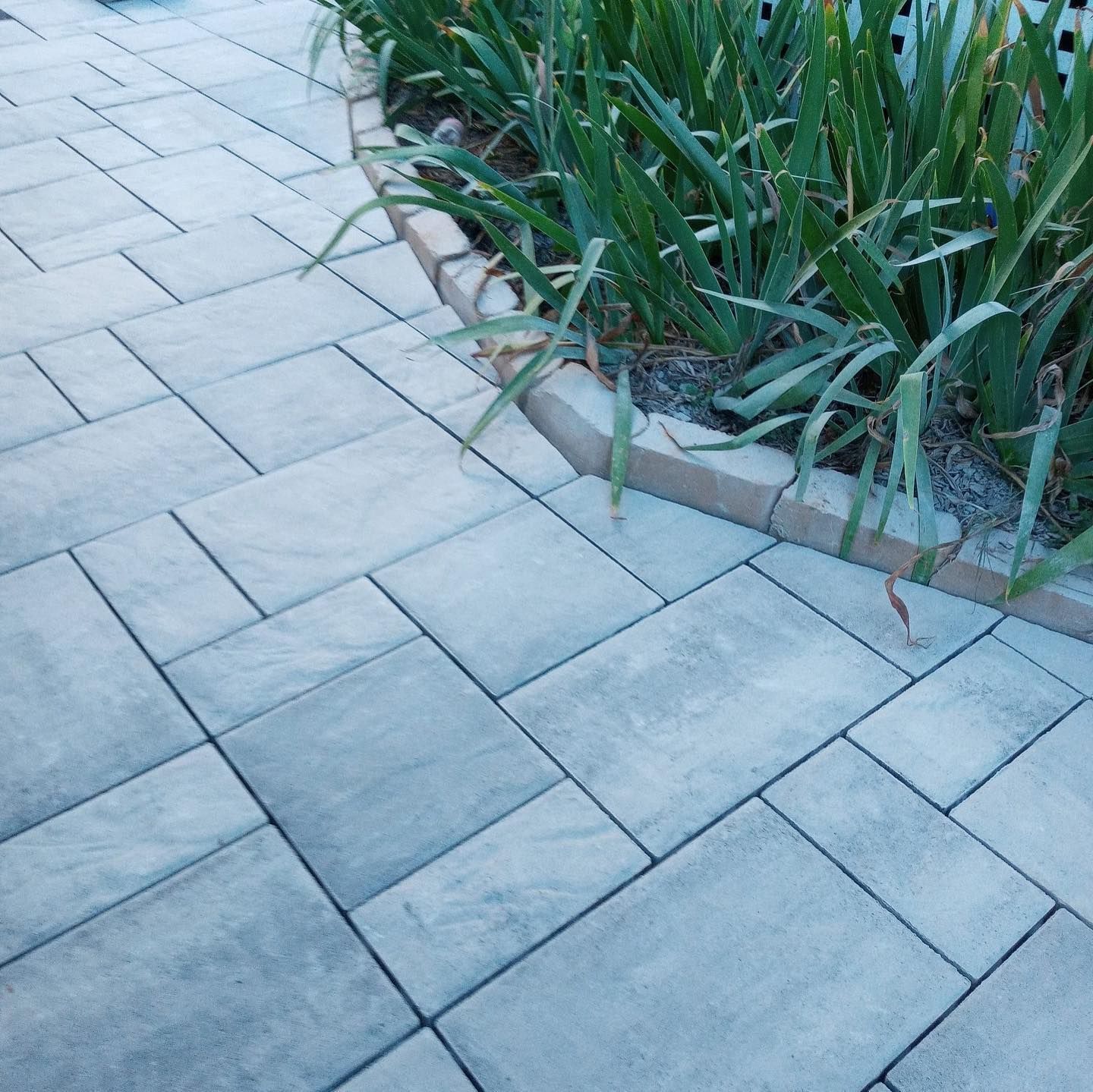 A brick walkway with a plant in the corner