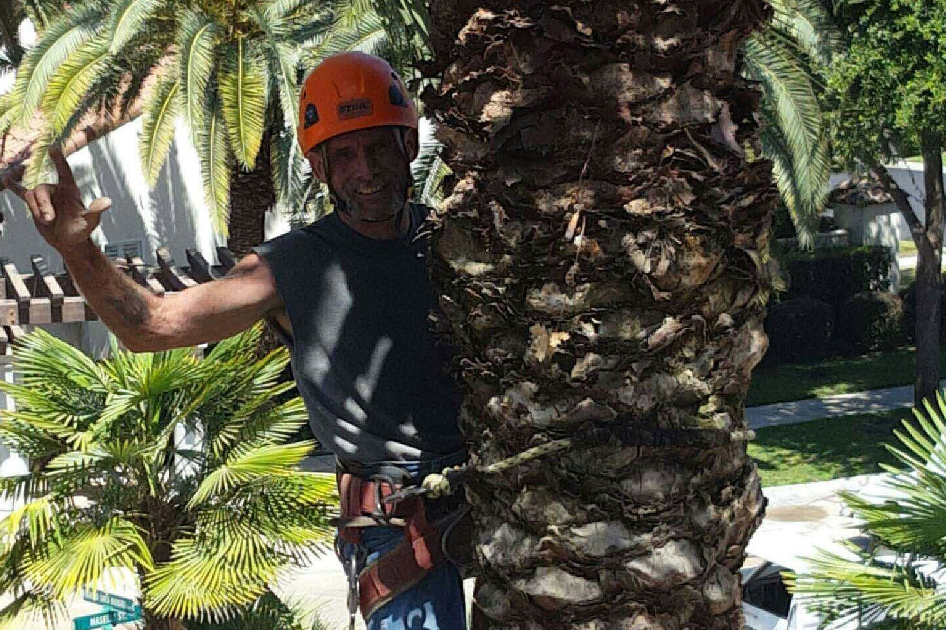Learn More About Tree Trimming and Pruning Tree Trimming