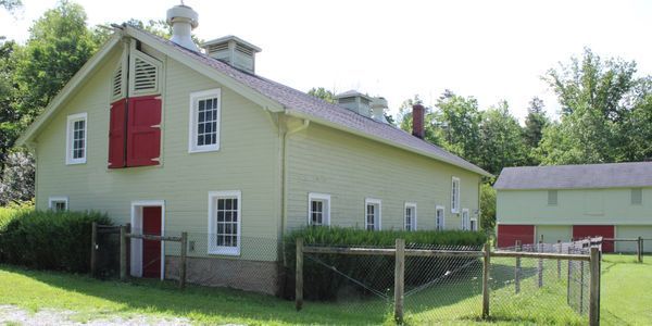 Little Mountain Animal Sanctuary