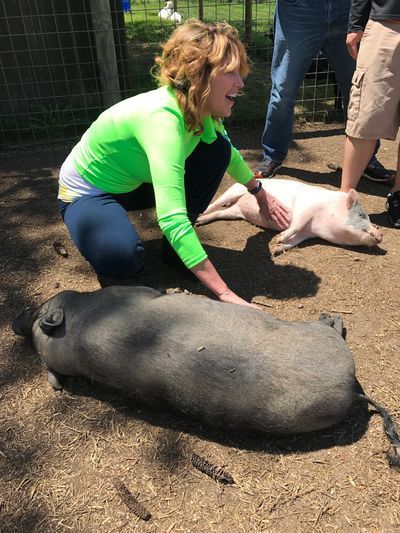 Woman kneels, petting two pigs outdoors. One is gray, the other pink. Woman is smiling, wearing green.