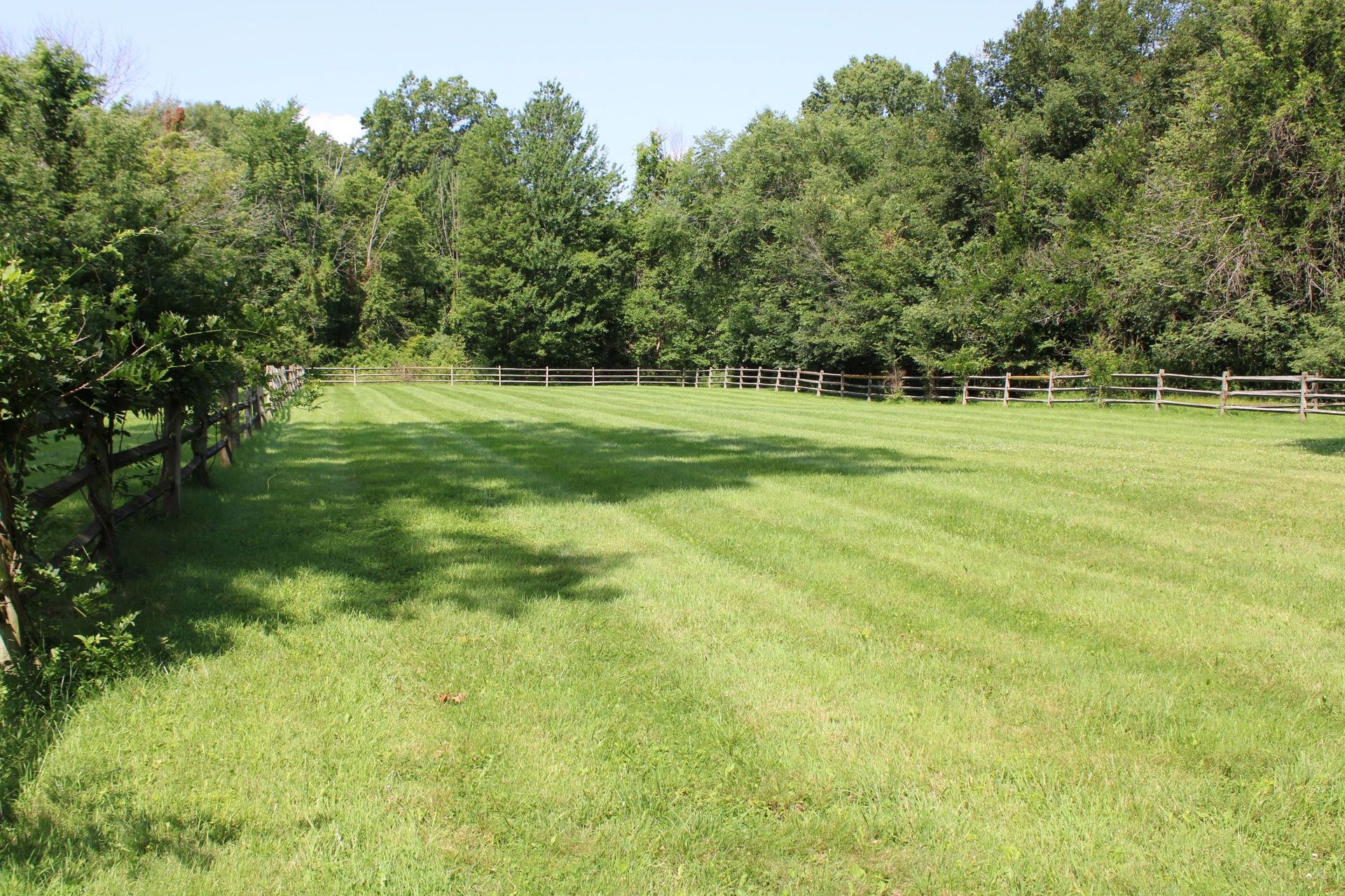 Green, mowed grassy field with wooden fences, surrounded by trees on a sunny day.