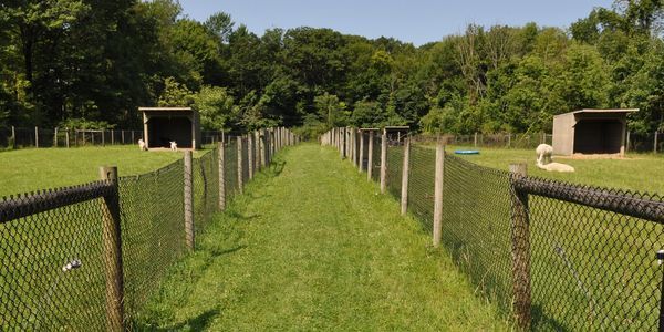 A grassy path lined with chain-link fences leads to a row of shelters, with trees in the background.