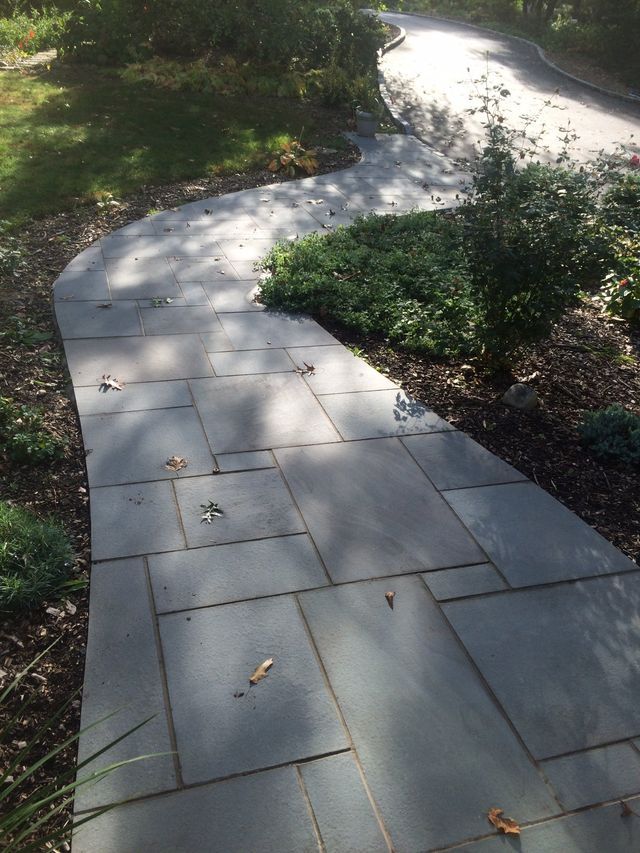 a stone walkway with plants and trees