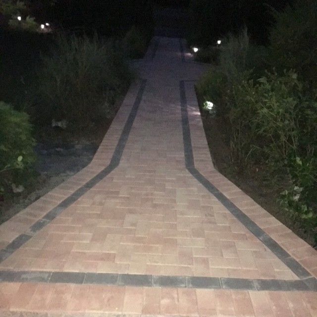 A brick walkway is surrounded by bushes and trees at night.
