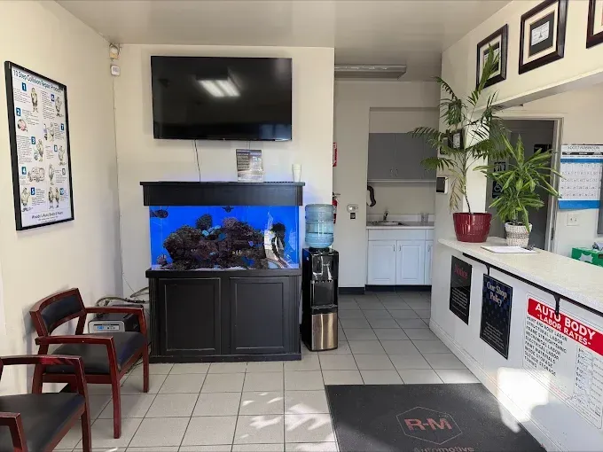 Waiting room with chairs, fish tank, wall-mounted TV, and a white counter with plants.