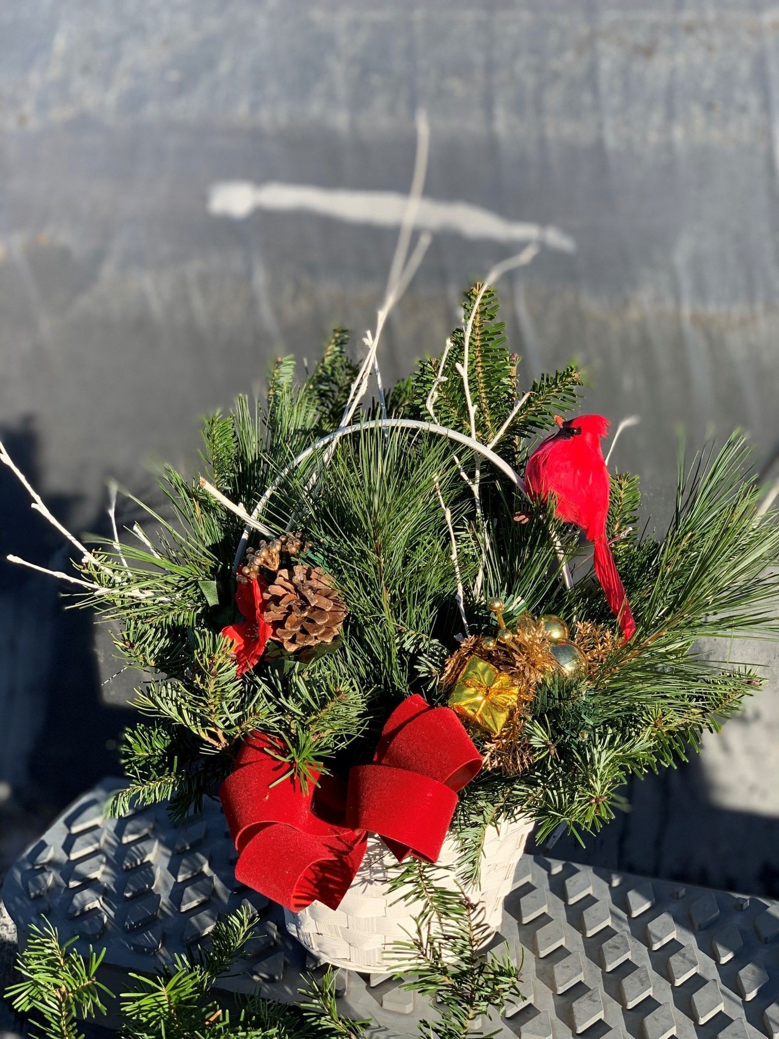 Small basket with pine tree leaves
