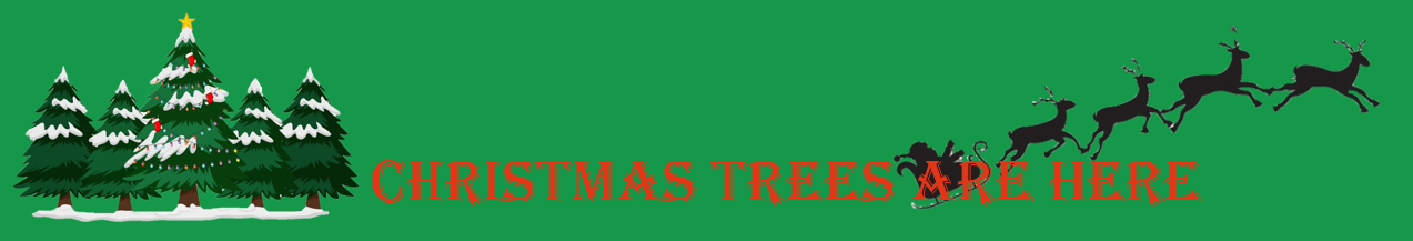 Christmas trees are here