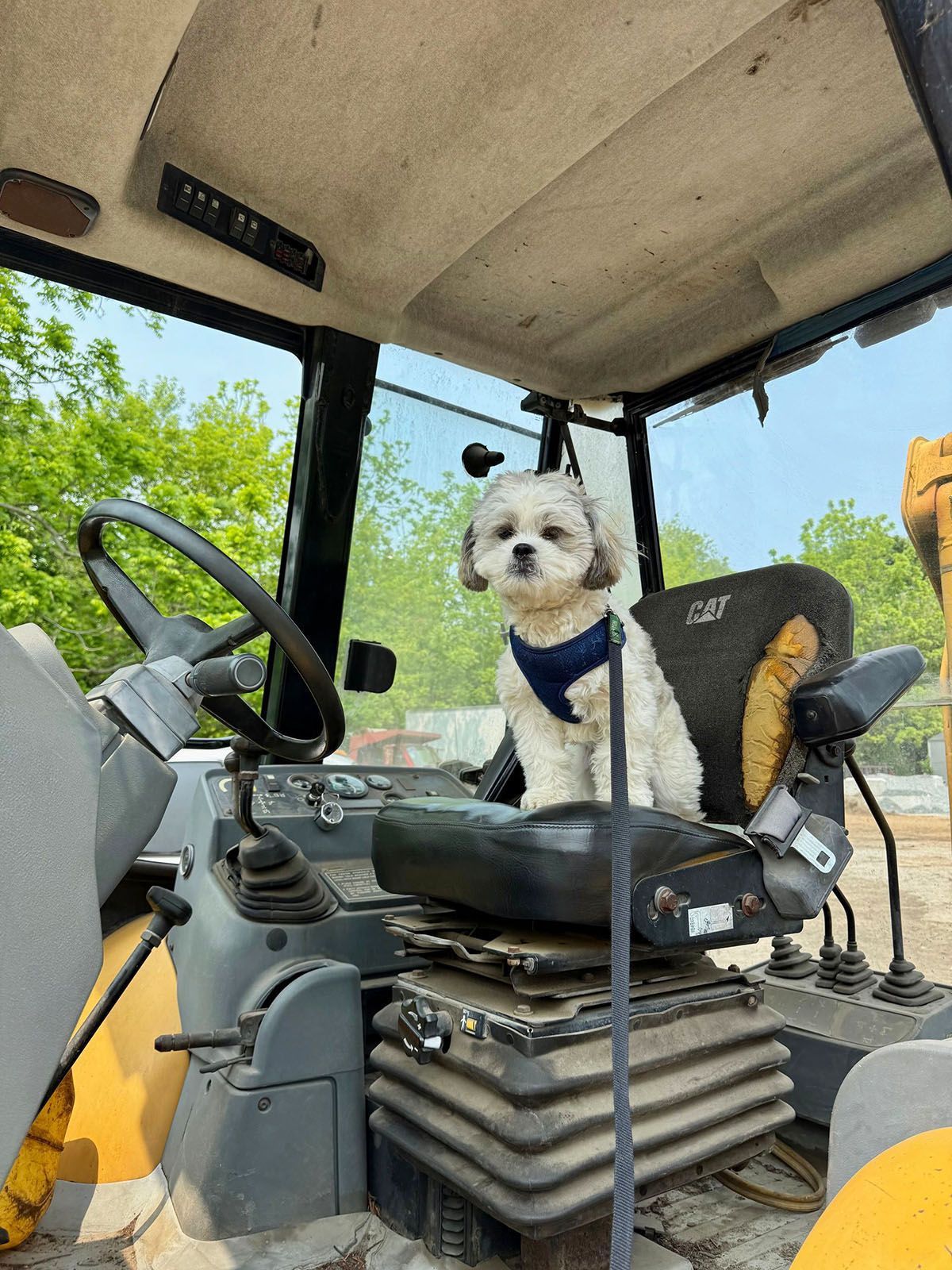 A white dog sitting on a heavy-duty equipment's driver seat