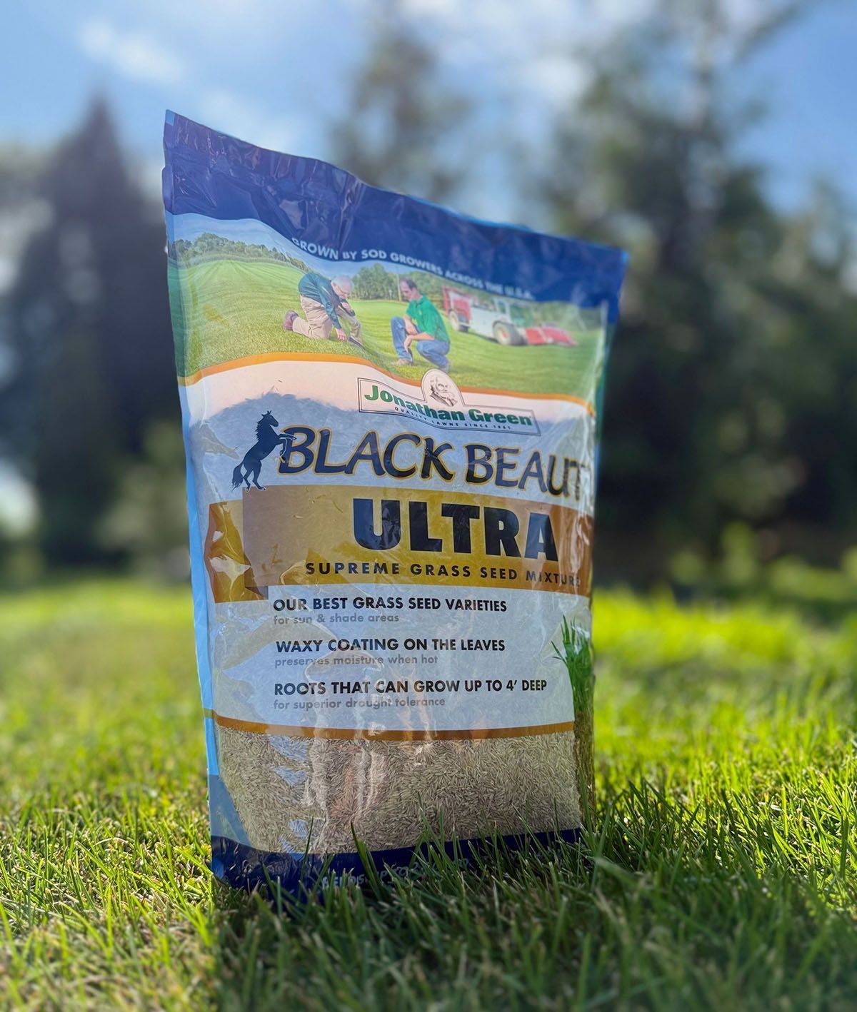 A bag of grass seed on a grassy lawn