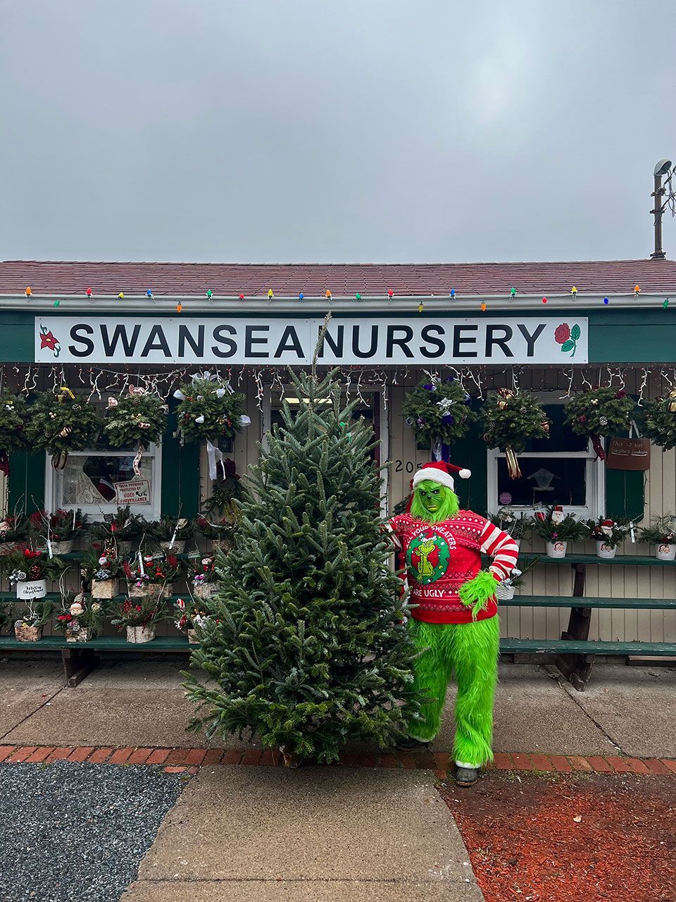 A Grinch is standing next to a Christmas tree in front of a nursery
