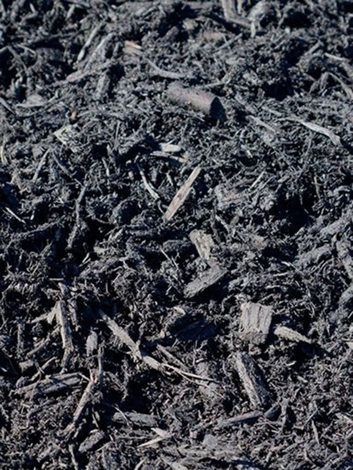 Black mulch, textured with wood chips, fills the frame.