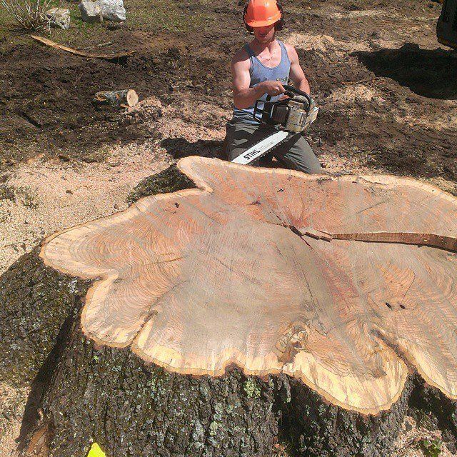 man removing a stump