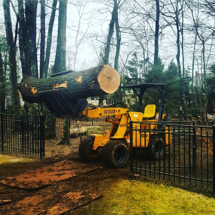 a cut tree being lift by a machine