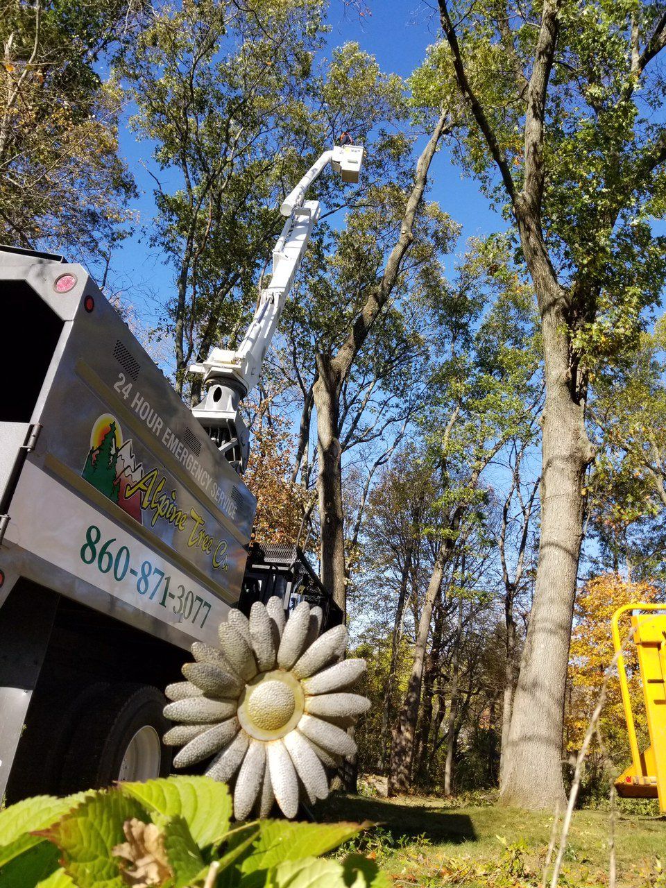 man cutting tree on top