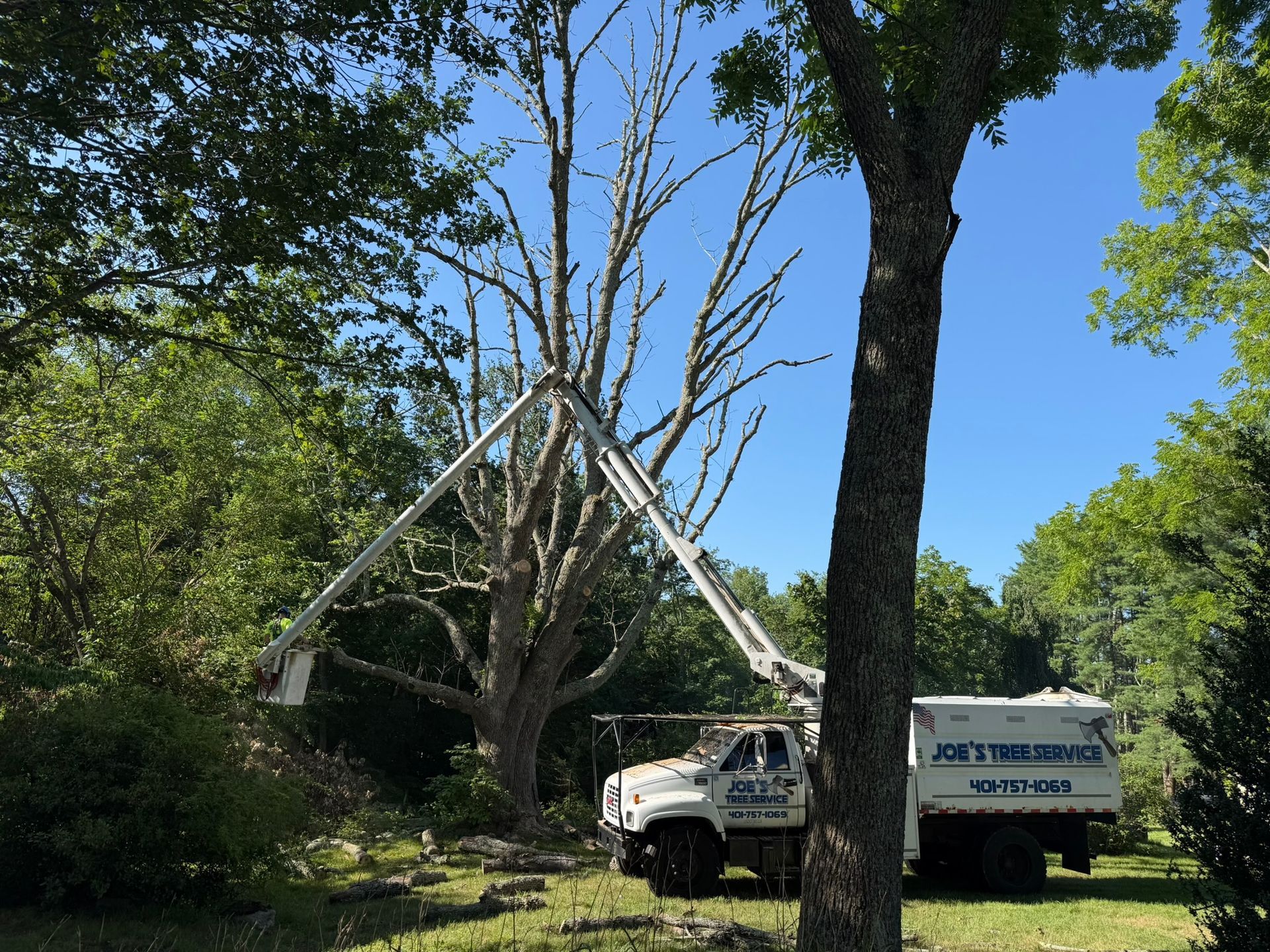 White utility truck under a fallen tree, with a large white A-frame support in a wooded yard.