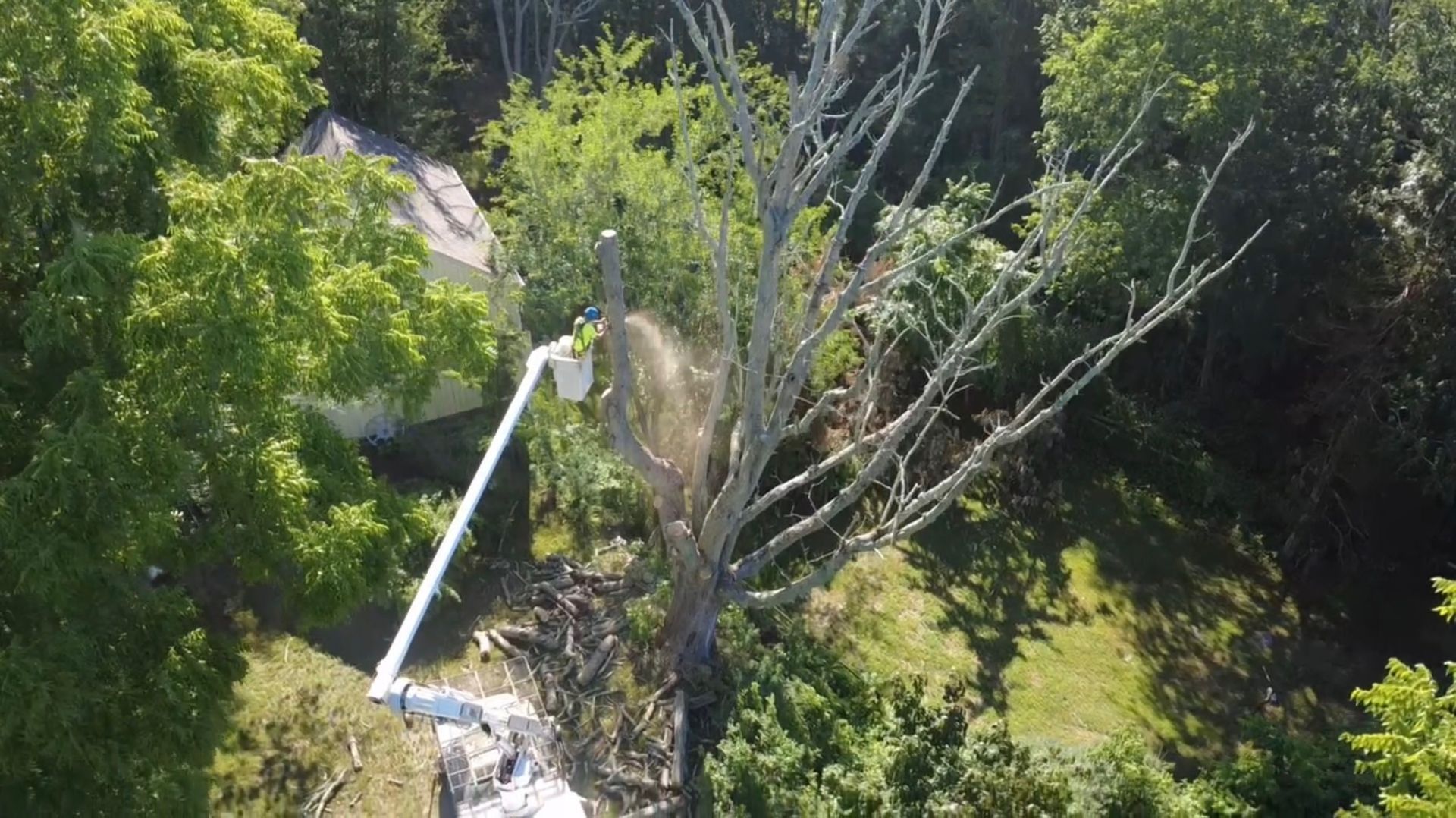 A fallen tree and broken white railing in a wooded area after storm damage