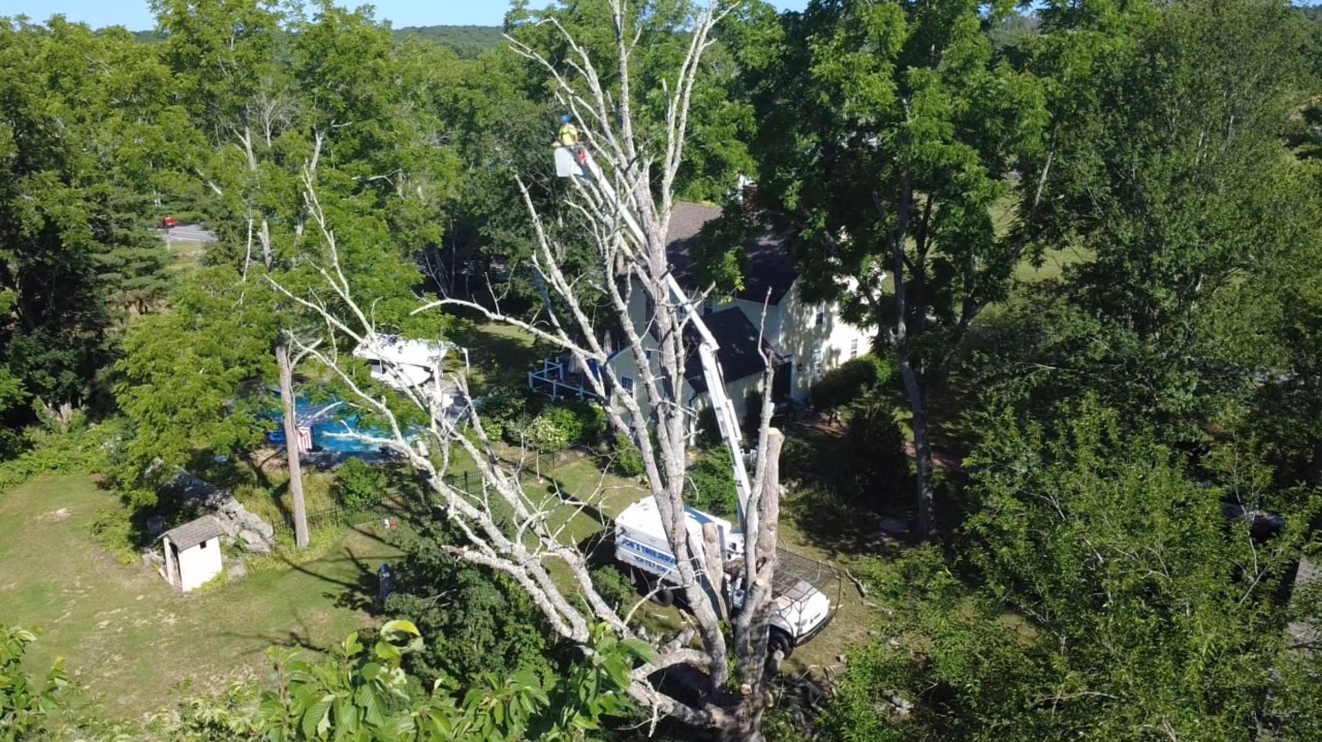 Aerial view of a white house amid green trees and a clearcut area with fallen white trunks
