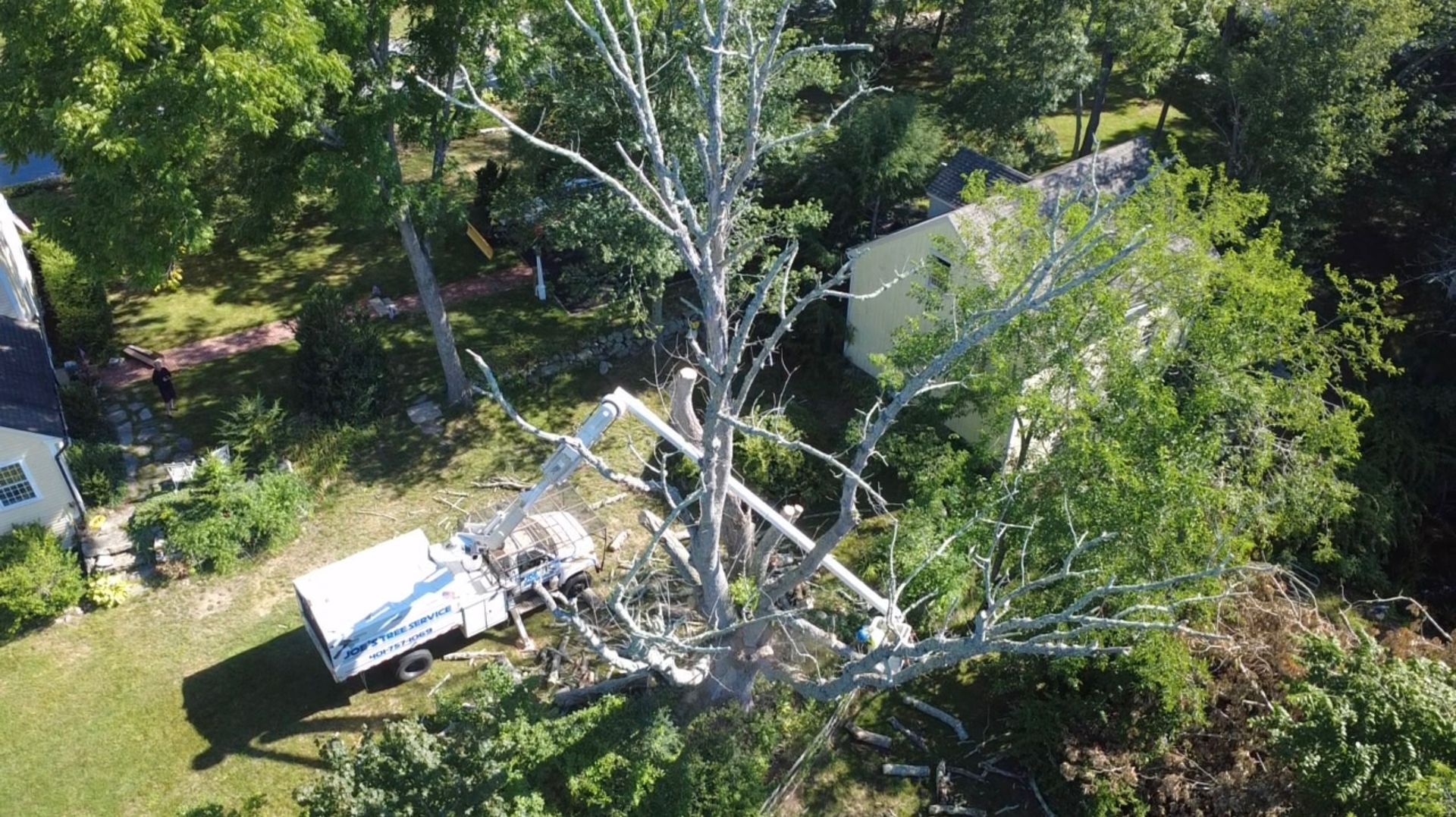 Aerial view of a fallen tree crushing a small white structure in a wooded area.