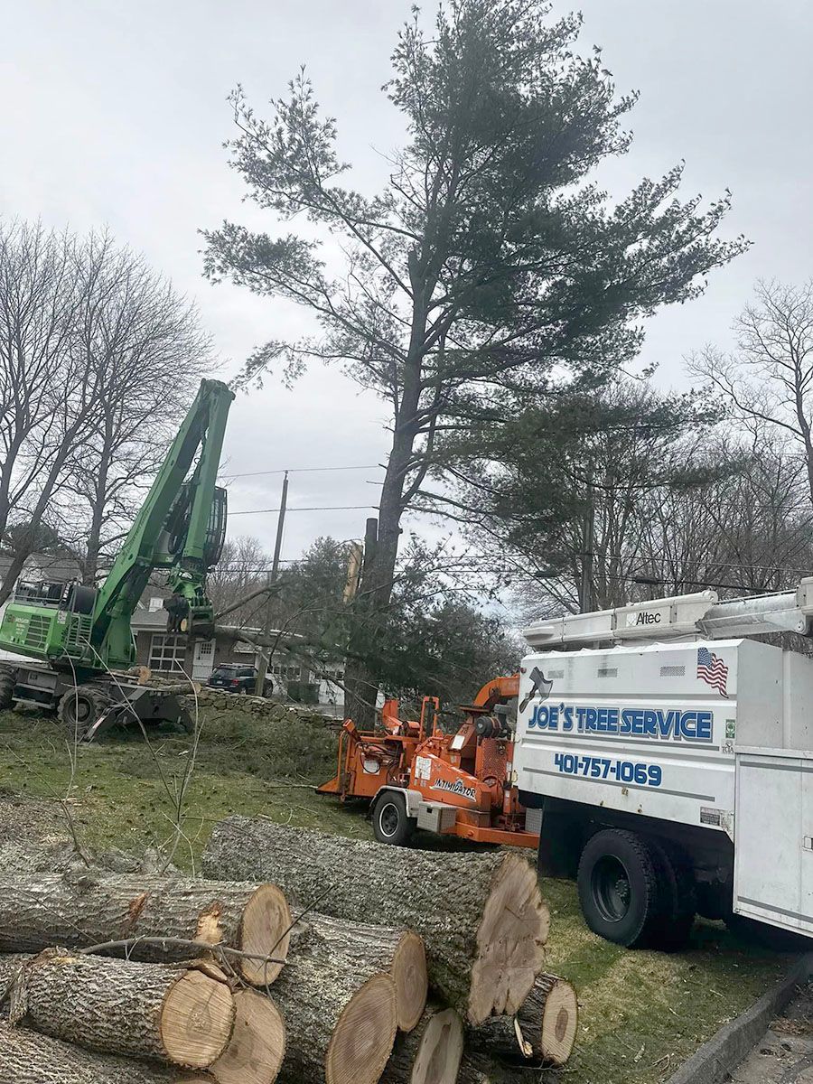 A tree is being cut down and a truck is sitting next to a pile of logs