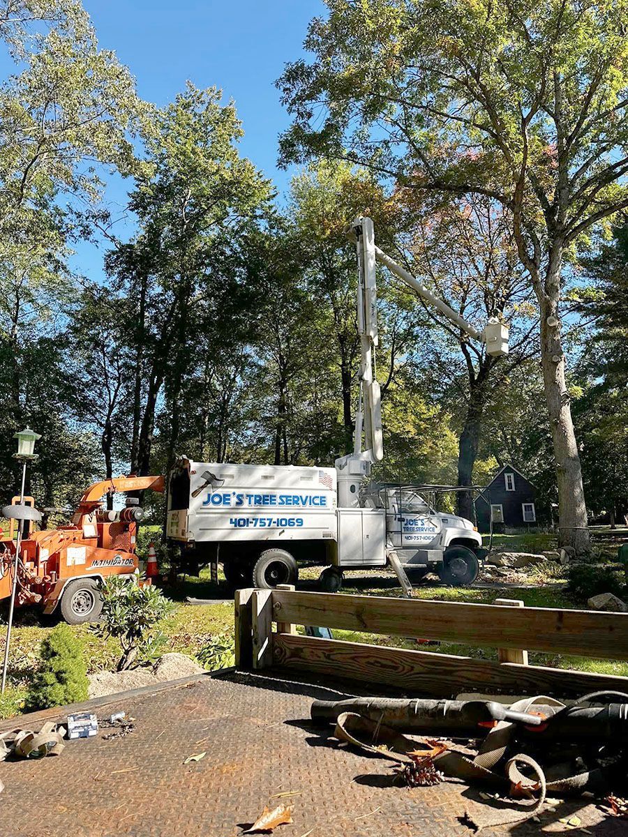 A white truck is parked in a driveway next to a tree