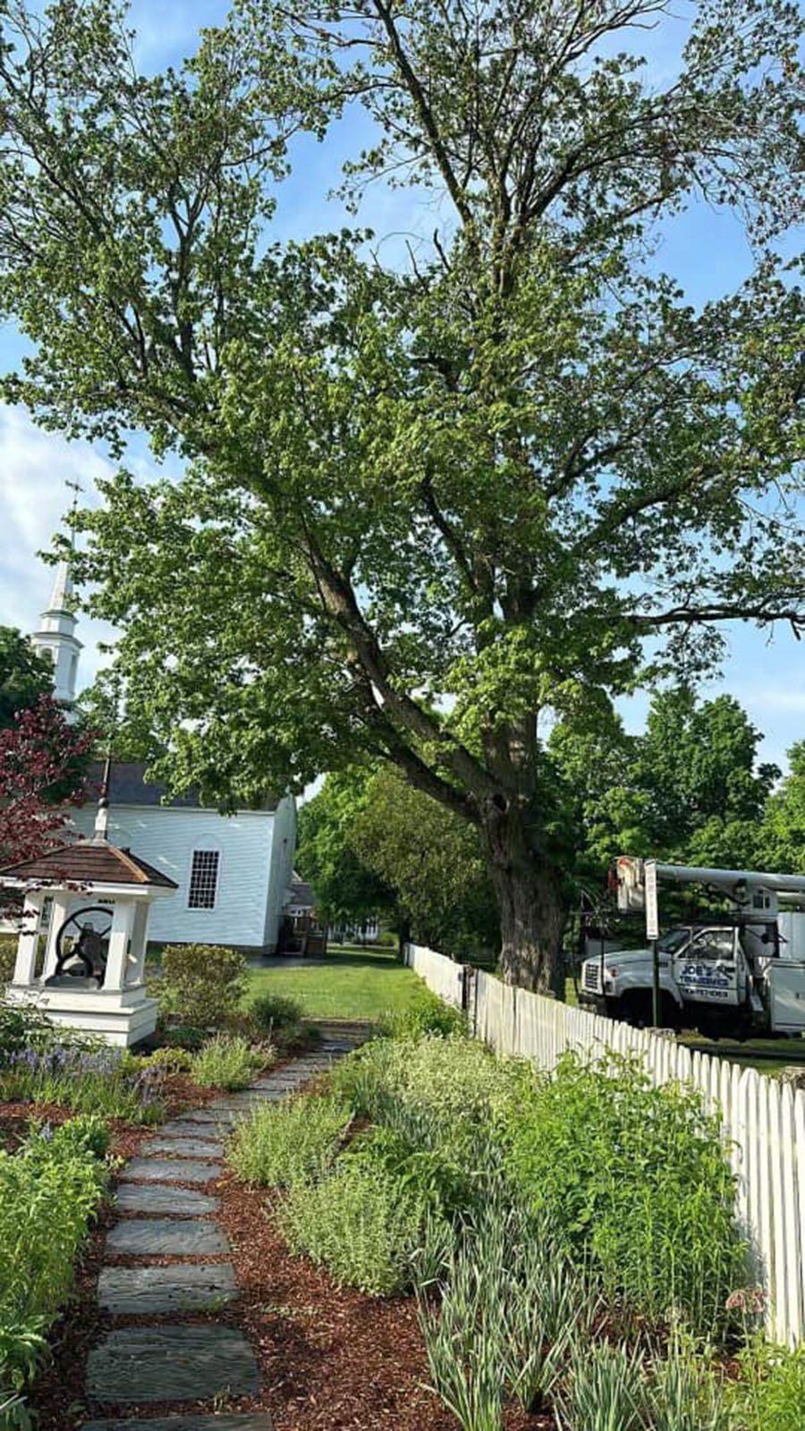 A path leading to a house with a large tree in the background