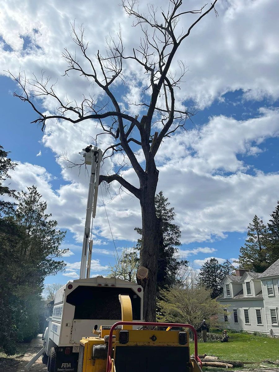 A tree is being cut down by a machine in front of a house