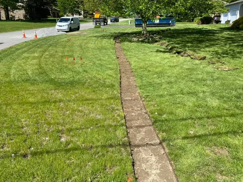 Grassy roadside with a narrow brick path, parked vehicles, and orange cones near the curb.