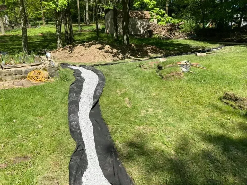 A winding black-and-white path through a sunny green yard with trees in the background