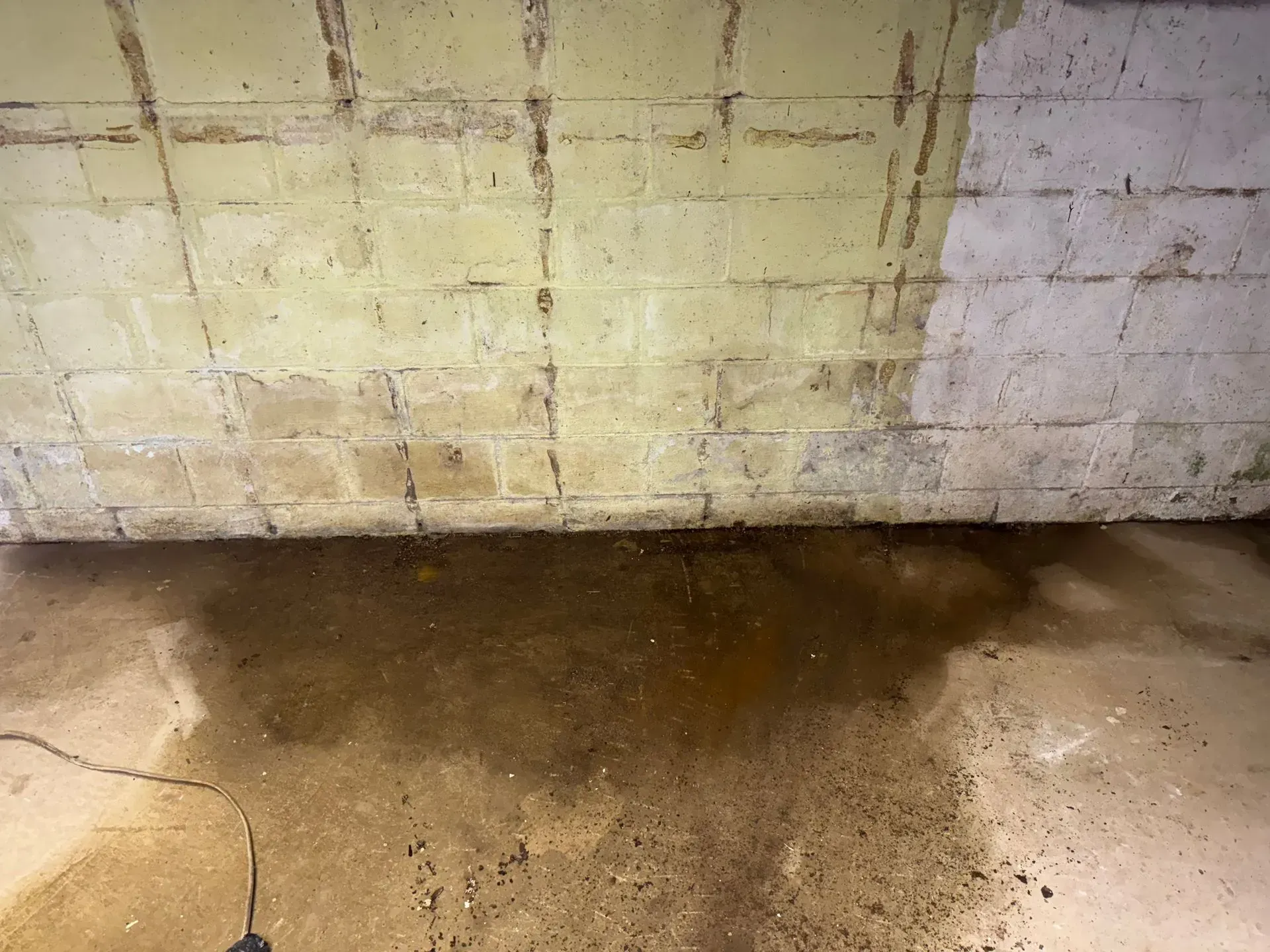Wet concrete floor against a stained white brick wall in a dim basement
