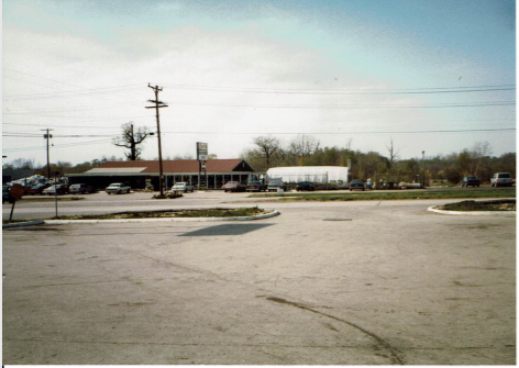 Garden plants and flowers
